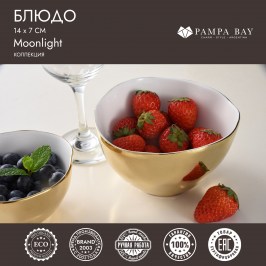 Блюдо 14 х 7 Moonlight MON2600WG